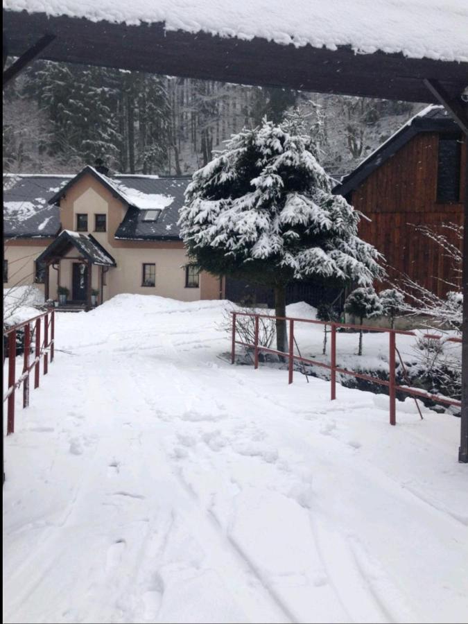 Apartman Na Horach, Plesivec Pstruzi  Exterior foto